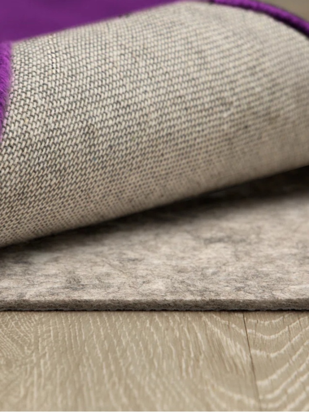 Neutral Beige Wool Rug with Purple Edge